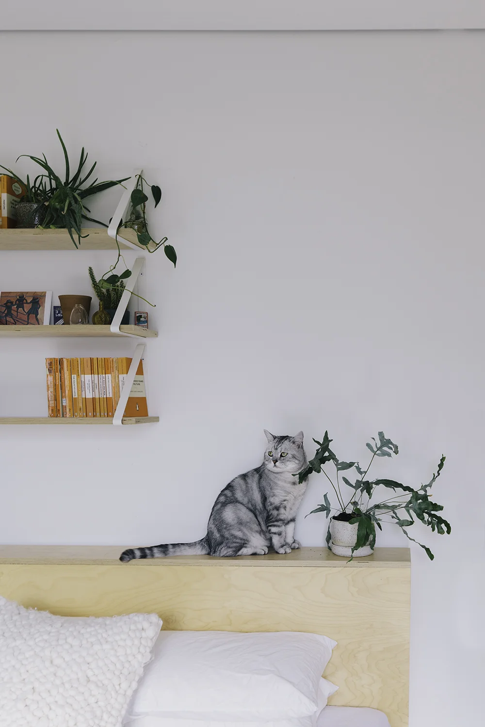 INTERIORS // MELBOURNE