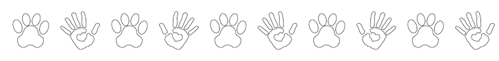 Untitled design (1).png