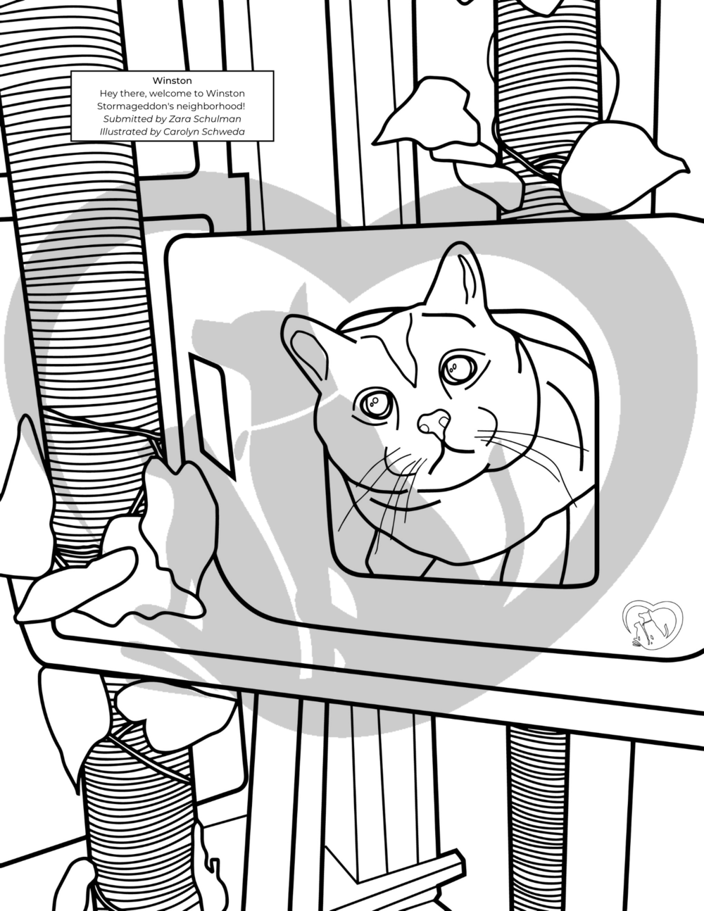 Download Shn Coloring Book The Safe Haven Network