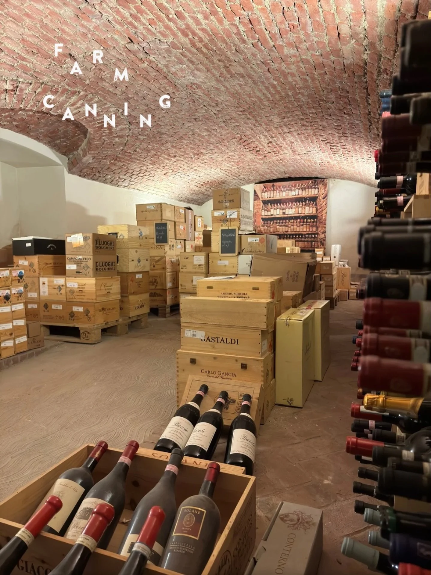 私たちの作るびん詰めや、家庭で作るジャムなどの保存食品は常温で保存しながら、内容物が腐敗してはいけません。 
そのため、瓶内を真空にして時間を止めるのですが、ワインの場合は、瓶内に保存しながらも熟成しながら味わいがさらに良くなる。 

そもそも4000年以上も前に、人間が食材を美味しく保存する方法として編み出したワイン作りが、現代になってもなお引き継がれている。 

そして同じ品種でもぶどうの作り手や、醸造家によって、味わいが全く違うものとなり、遠い場所へと運ばれたり、何年も後に抜栓されたりする