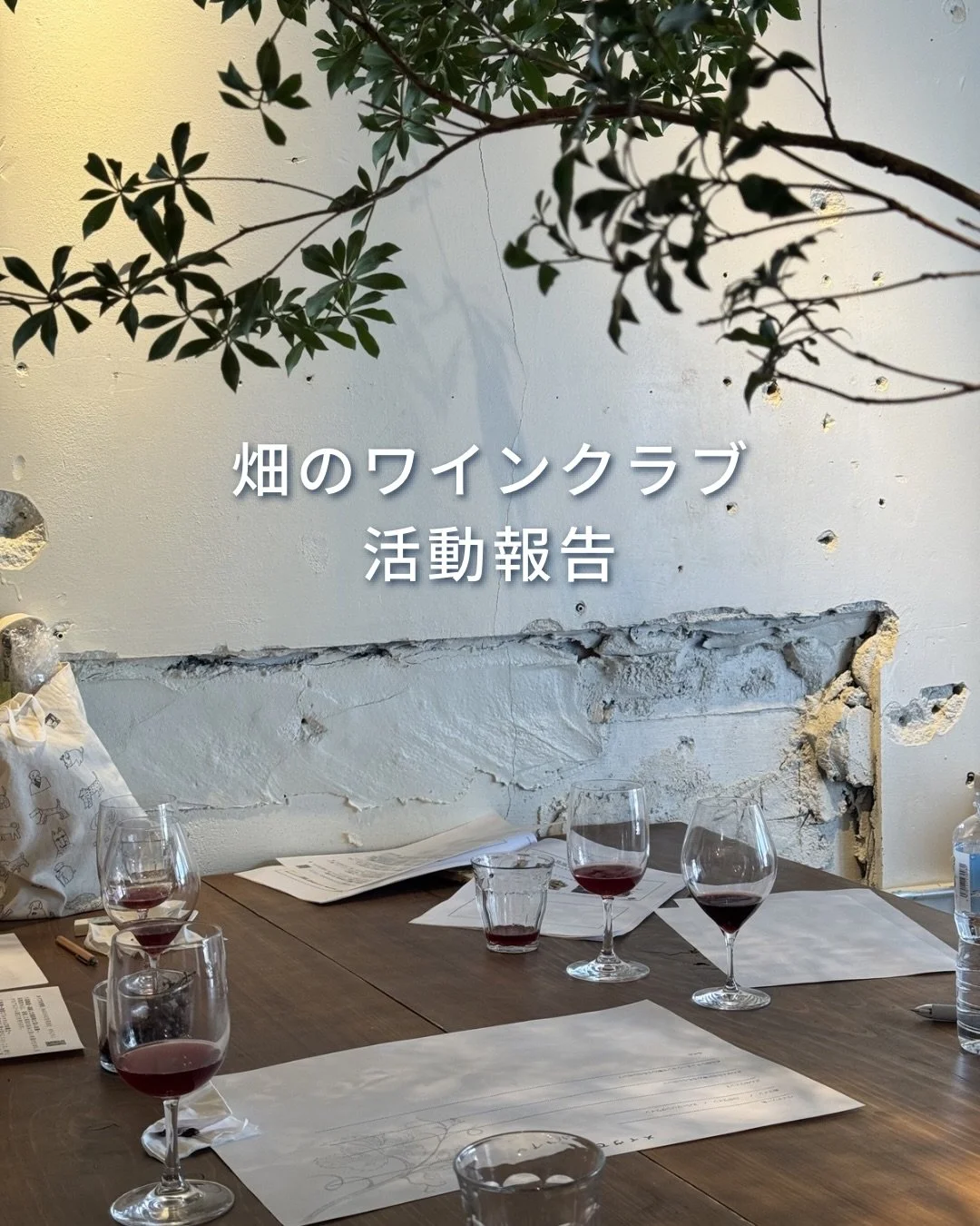 ◆畑のワインクラブ活動レポート

先日、畑のワインクラブ1期生の最終回を迎えました。

最後は、自分たちで育てたぶどうの試食と、
同じぶどうから造られた赤ワインを含めた
3種類の飲み比べからスタート🍷

後半はチームに分かれて、
「もし自分たちでワインを造るなら？」
というテーマで妄想タイム。

どんな味にしたいか、
どんな名前にするか、
誰に届けたいワインなのか。

それぞれの想いが詰まった
個性豊かなアイデアが生まれました。

最終回のランチのメインは
ぶどうの葉っぱを使ったドルマと
サボ