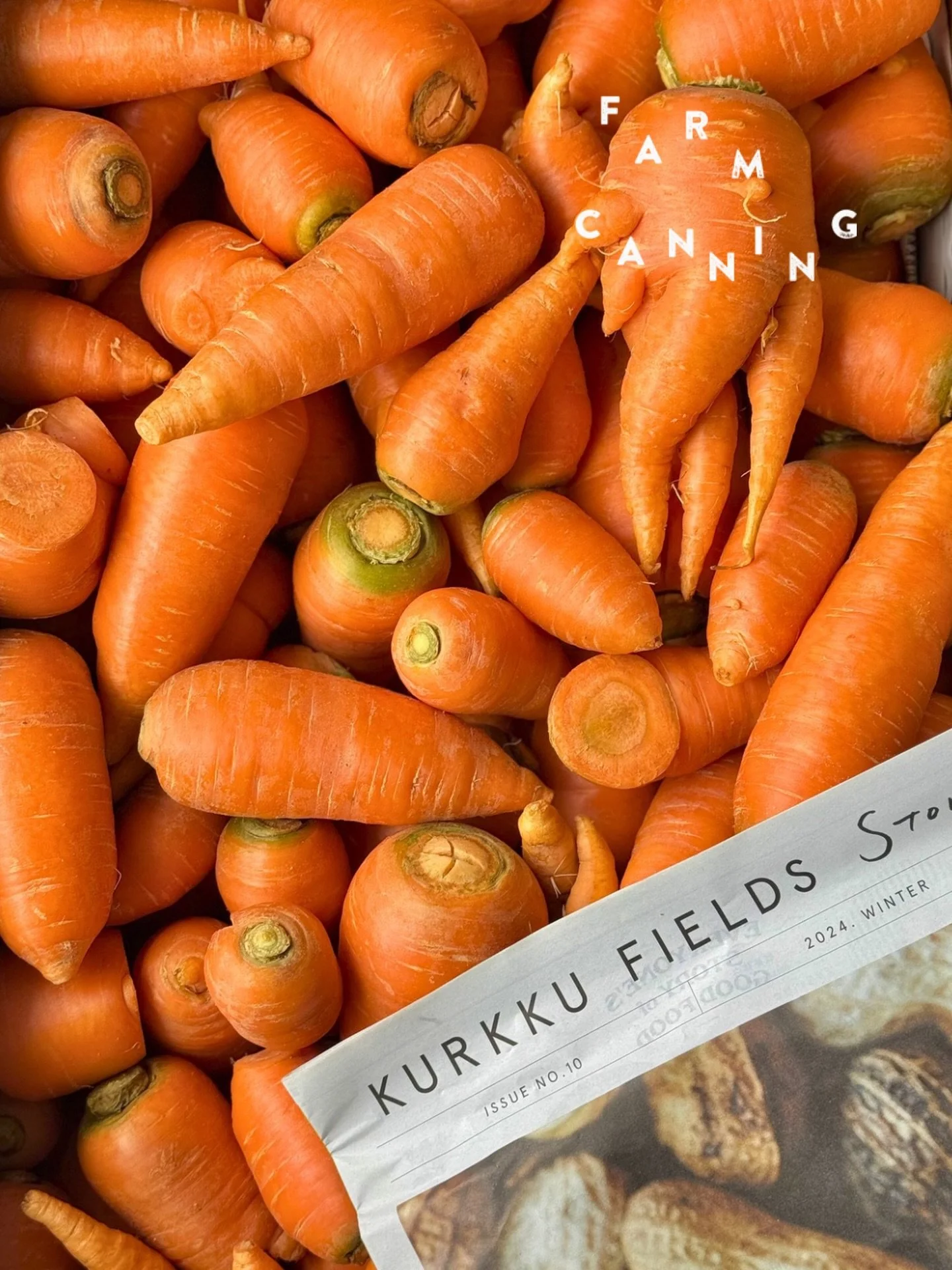 木更津の @kurkkufields から
にんじんが届きました🥕

以前びん詰め用にお野菜を分けていただいたご縁があり、
今回はケータリング用に仕入れさせていただきました。

このにんじんで今回はキャロットボールを。
素材の力強さが伝わったのか、ゲストの方々からも大好評でした！