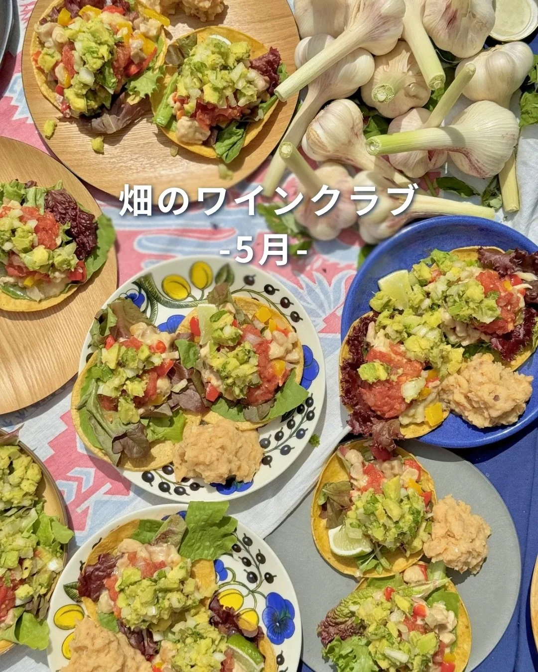 5月の畑のワインクラブ
今月は、メイヴの植え替えからスタートしました。

日当たりや土の状態を見ながら、これから棚仕立てにしていく場所へお引越し。
植え替えた苗に自然と愛着が湧き、名前をつける参加者さんも。

ランチテーマはメキシコ🇲🇽🌮
スタッフが先日 @maicito_taller で学んだタコスと、日本ではまだ珍しいメキシコワインをご用意しました。

ワイン講座では、料理とのペアリングについても。
「なぜ合うのか」を知ることで、味わい方が少しずつ立体的になっていく時間でした。

午後