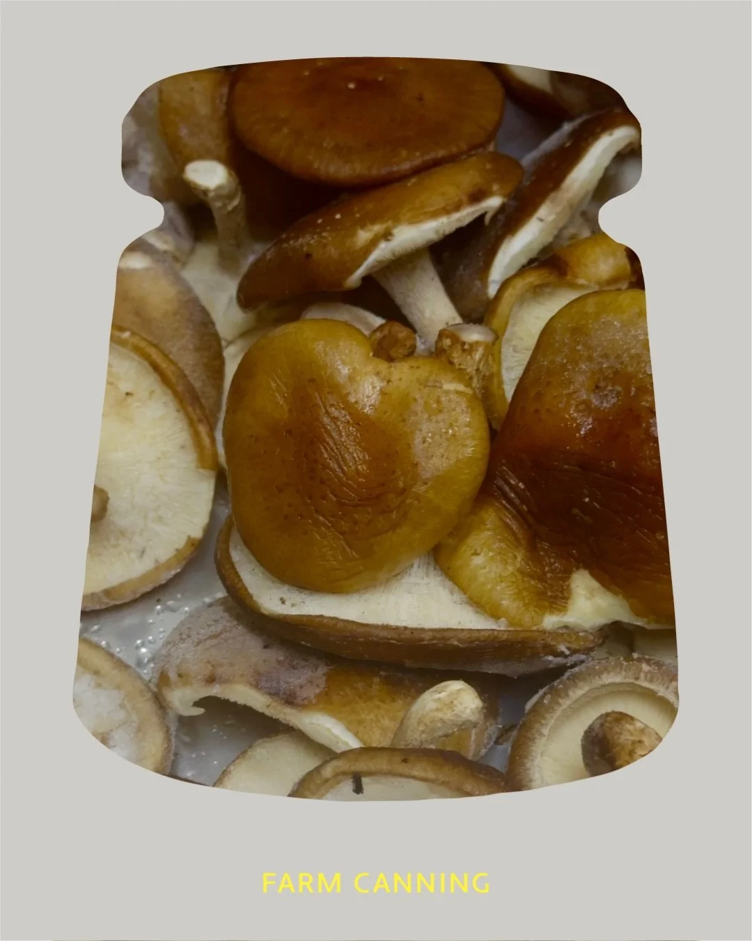 「きのこカーニバル シイタケ」ができるまで

ファームキャニングの看板商品のひとつ、
きのこカーニバル シイタケ🍄&zwj;🟫

使っているのは、 @nagashima_nouen の
お日さまの光と井戸水で育った お日さまシイタケ です。

自然の環境に近い形で菌床栽培され、
お日さまの光を浴びて育つ椎茸は、香りがよく、旨味もたっぷり。

そんな椎茸を、たっぷり使ってペースト状に仕上げています。

でも、椎茸には旬があり、自然栽培では夏は椎茸ができません。

それでも「きのこカーニバル シ