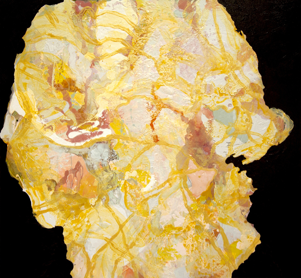 Janus II, 2013