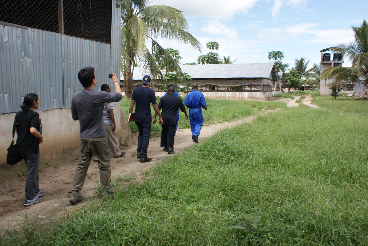 Meeting with Chanika Poultry Farm outside Dar es Salaam