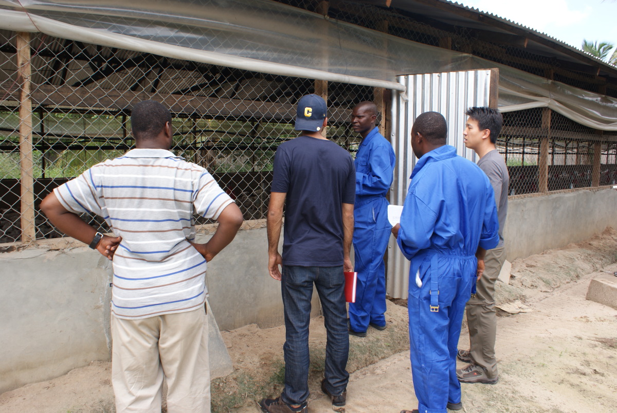 Chanika Poultry Farm outside Dar es Salaam