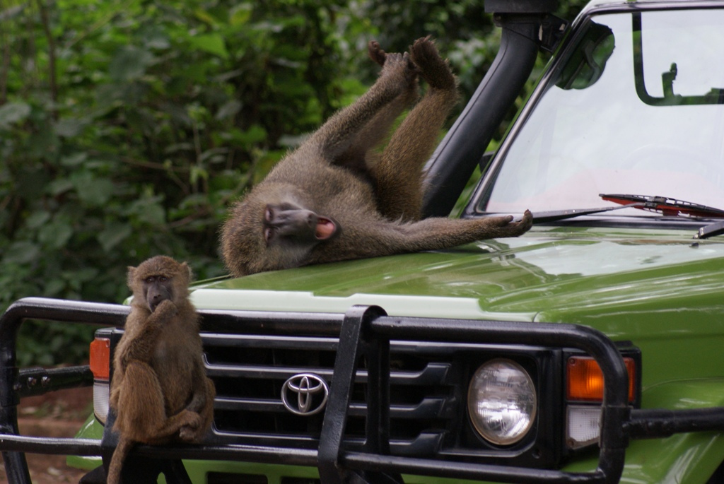 Entrance to Serengeti National Park, Tanzania