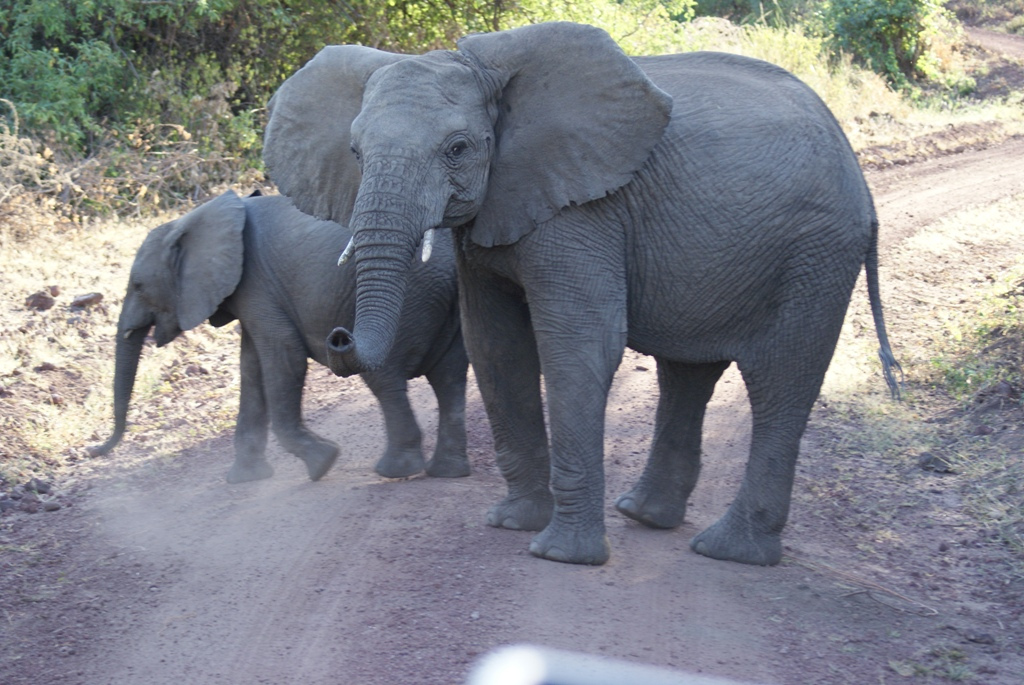 Lake Manyara, Tanzania
