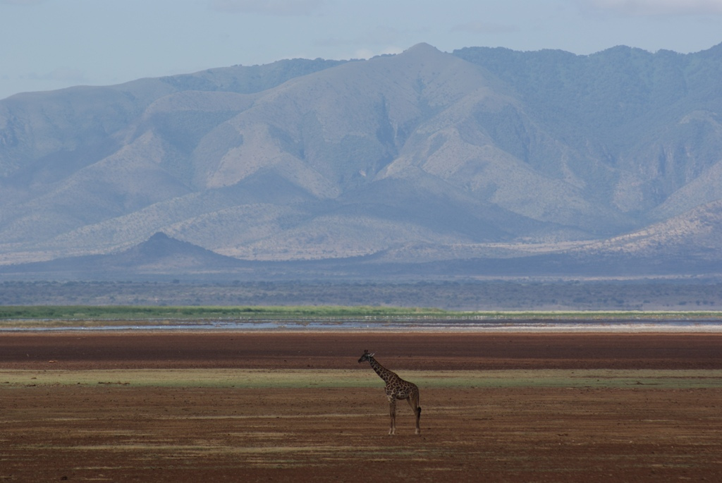 Lake Manyara, Tanzania