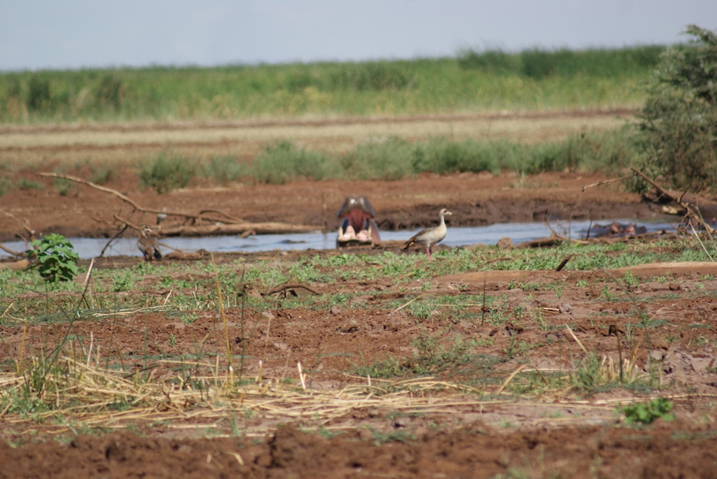 Lake Manyara, Tanzania
