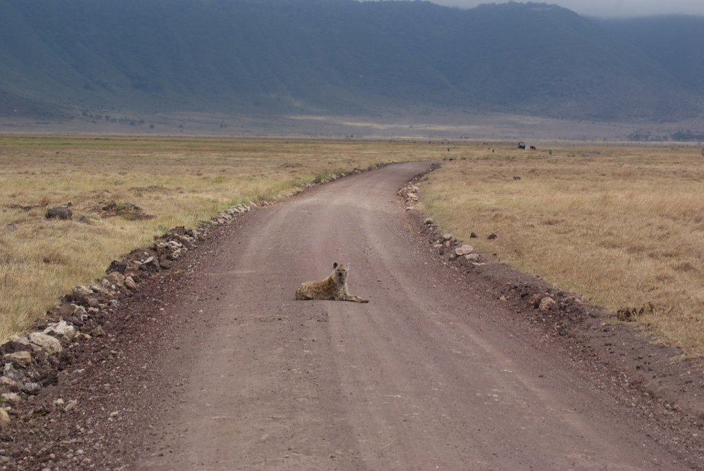 Ngorongoro Crater, Tanzania