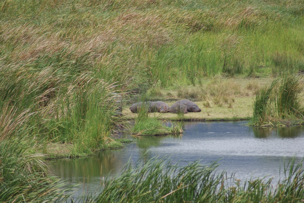 Ngorongoro Crater, Tanzania