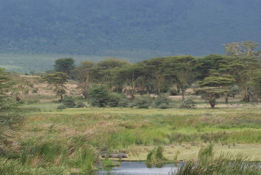 Ngorongoro Crater, Tanzania