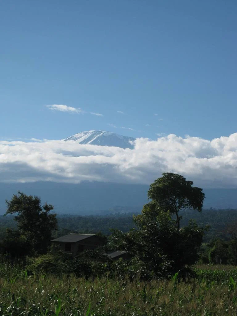 Kilimanjaro
