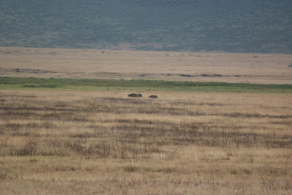 Ngorongoro Crater, Tanzania