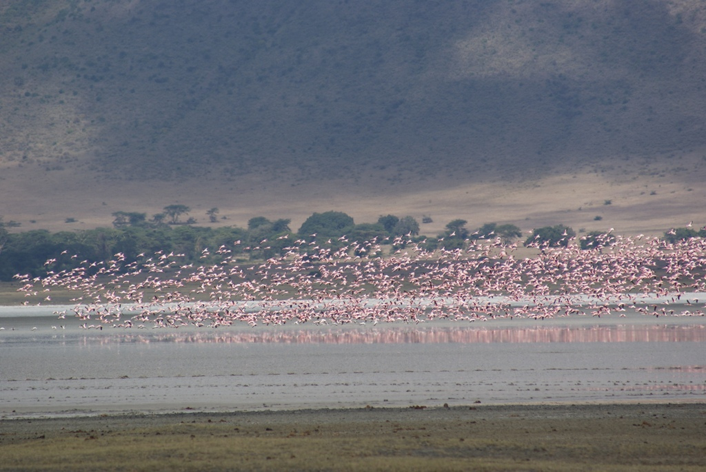 Ngorongoro Crater, Tanzania