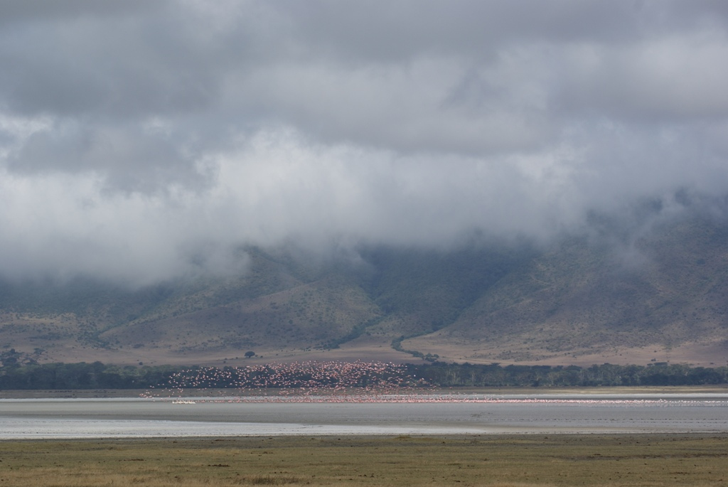 Ngorongoro Crater, Tanzania