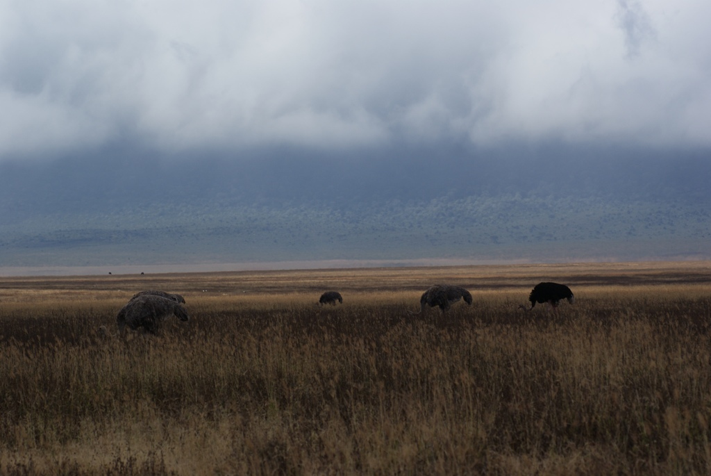 Ngorongoro Crater, Tanzania
