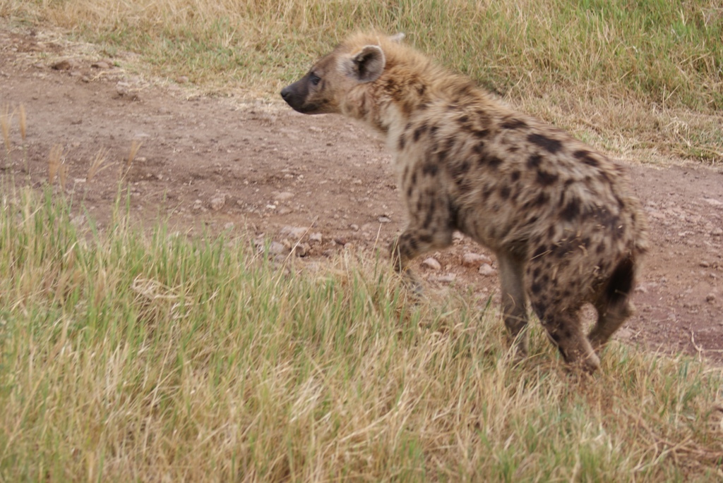 Ngorongoro Crater, Tanzania