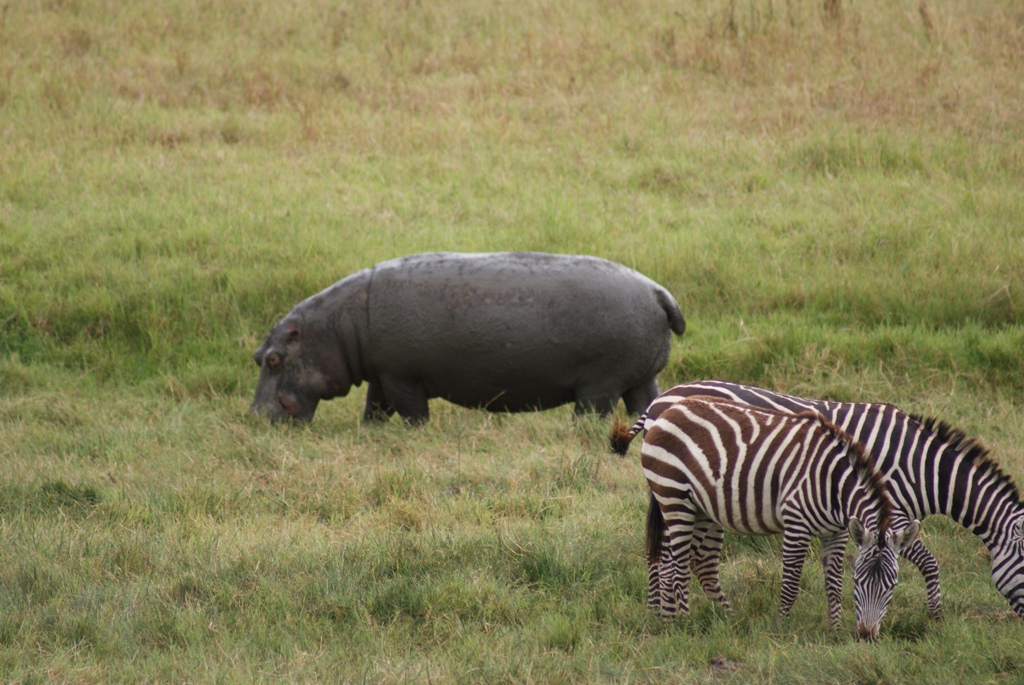 Ngorongoro Crater, Tanzania