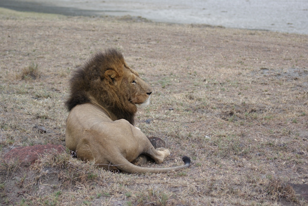 Ngorongoro Crater, Tanzania