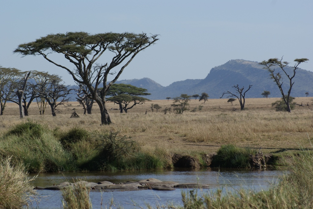 Serengeti National Park, Tanzania