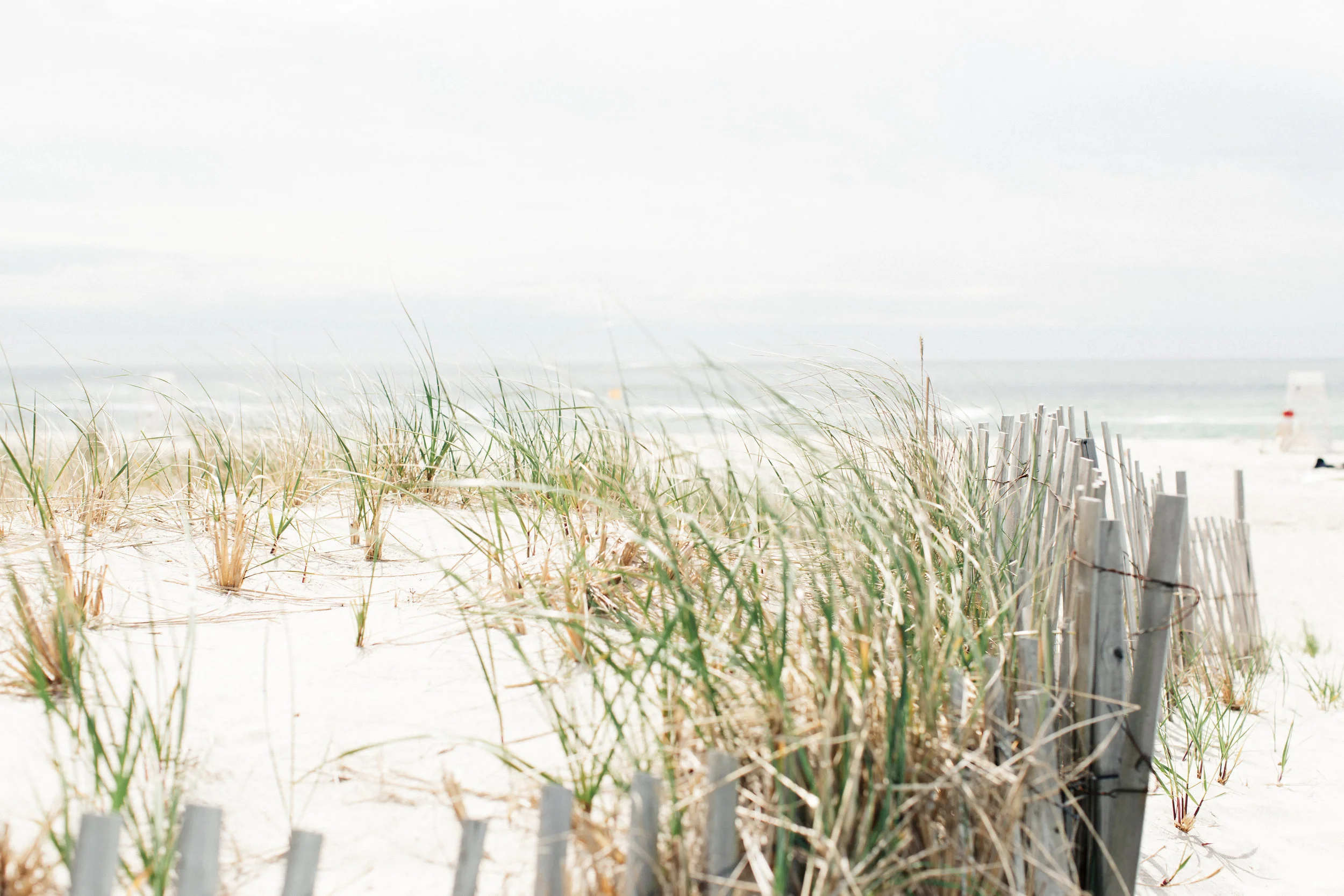 General Images of Long Island's Landscapes for Feature Openers, Spread Throughout BEACH's Summer 2017 Issues