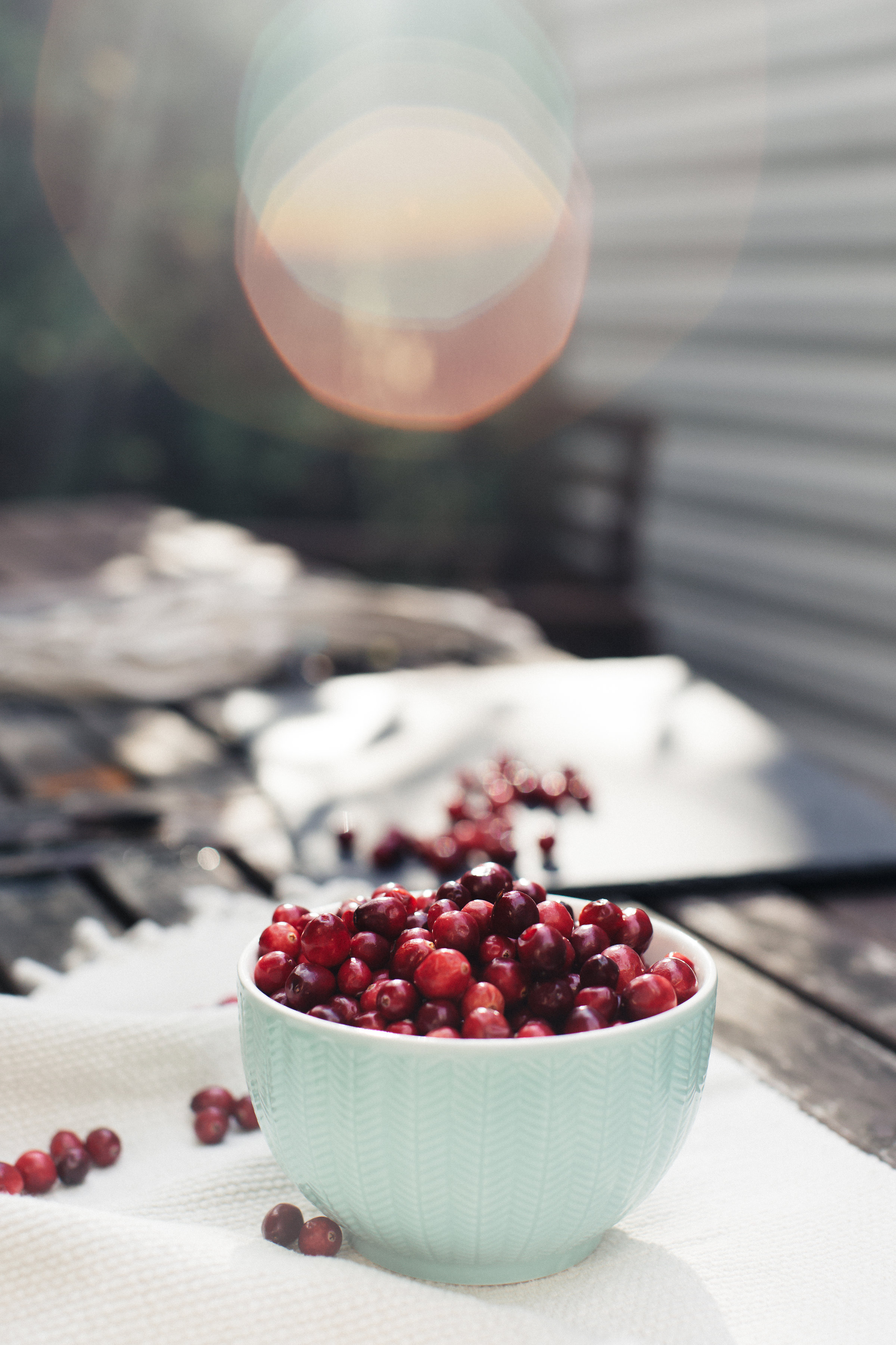 Cranberries for Edible Capital District
