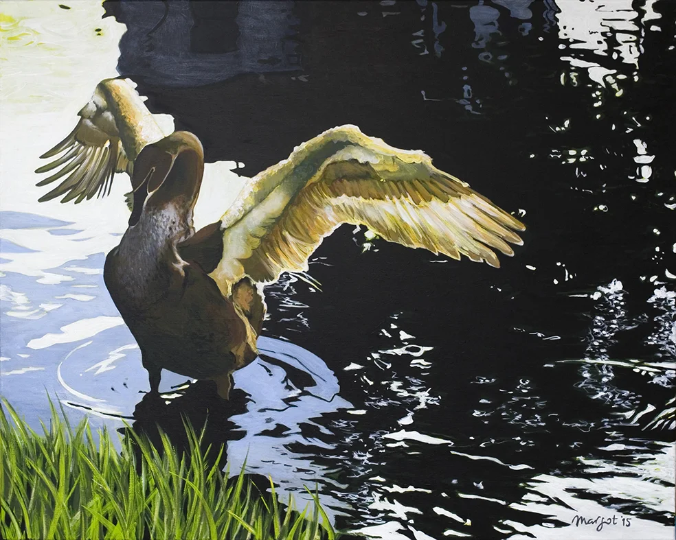 Zwaan lichtvleugels.jpg