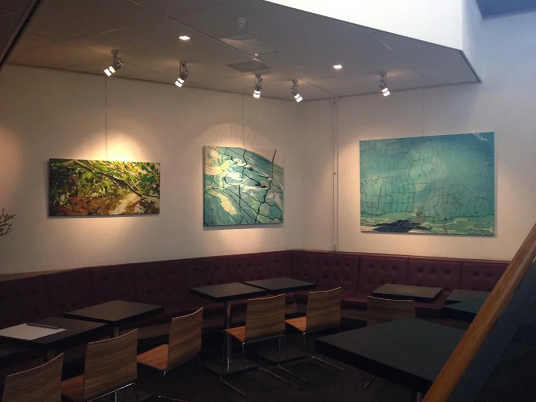 Solo-expo in Filmhuis, Deventer. 2015