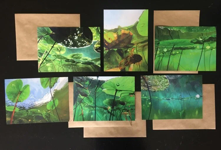 Ansichtkaarten 'Uit de lelie-serie'