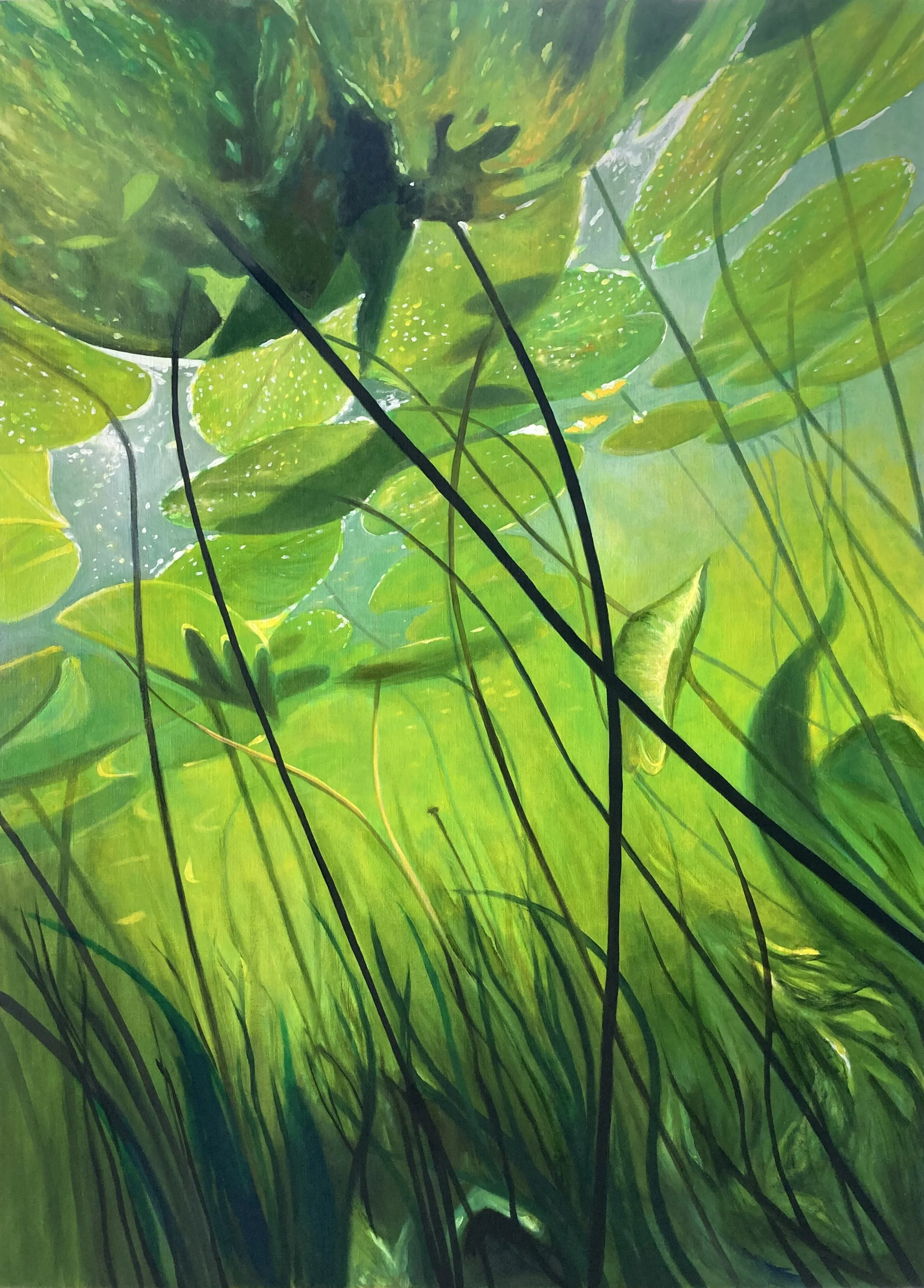 Through a magnifying glass 110 x 80 cm.jpeg