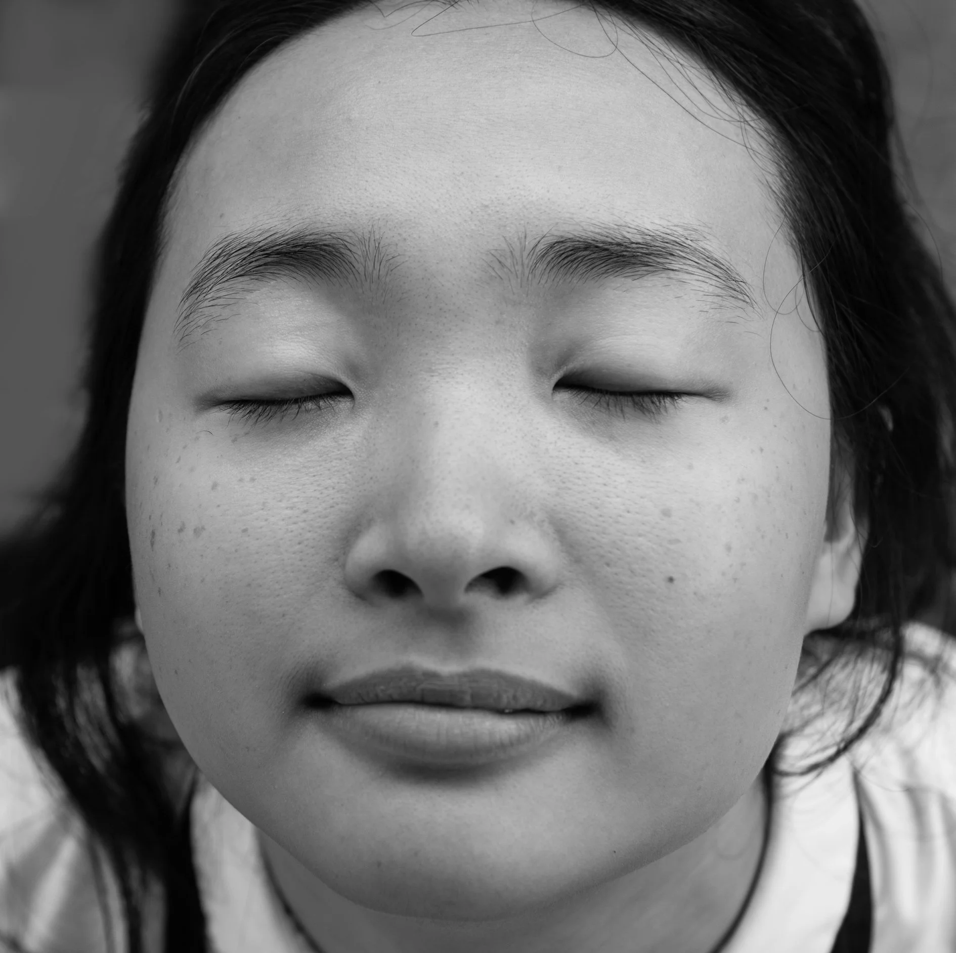 6955chineseladybw.jpg