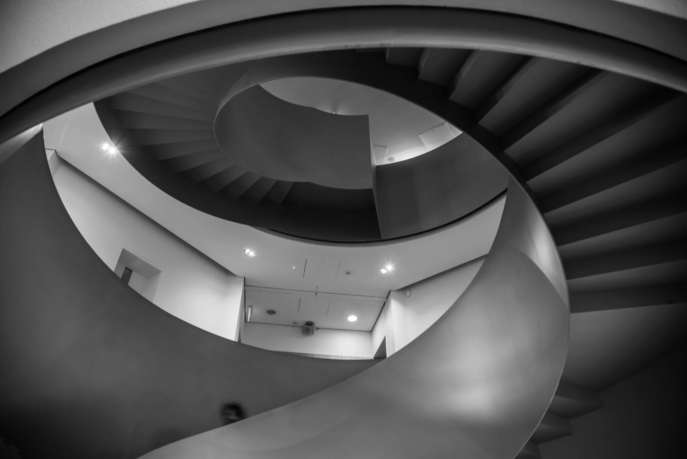 7142staircasecurvesbw.jpg