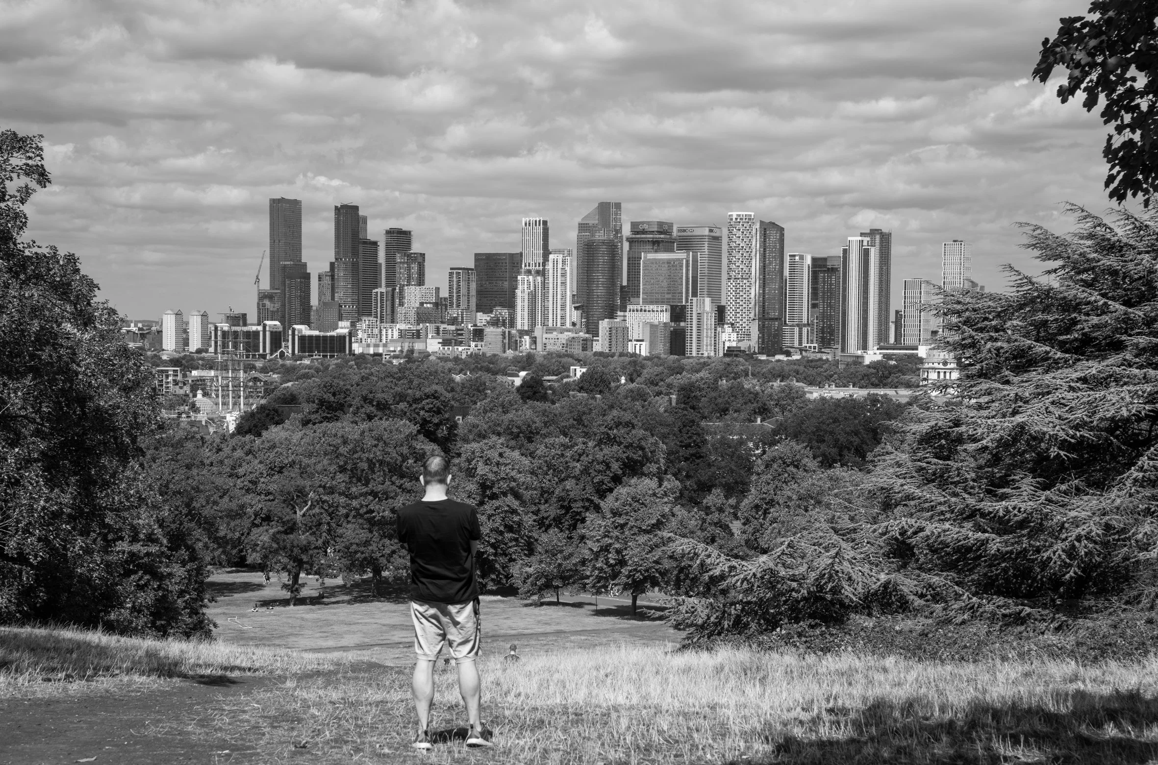 7174takinginthehilltopviewbw.jpg