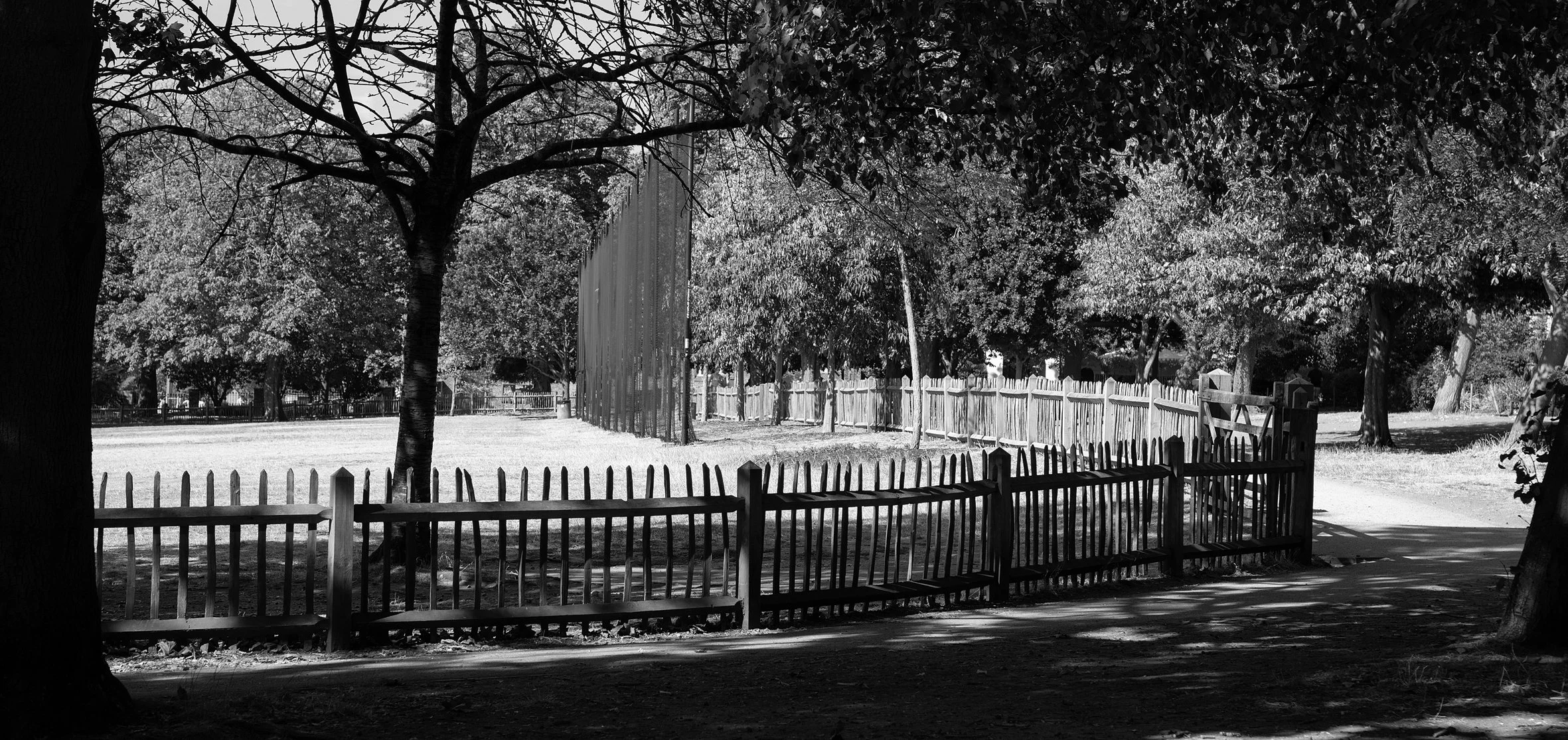 0695curvedfencingpan30bwW.jpg