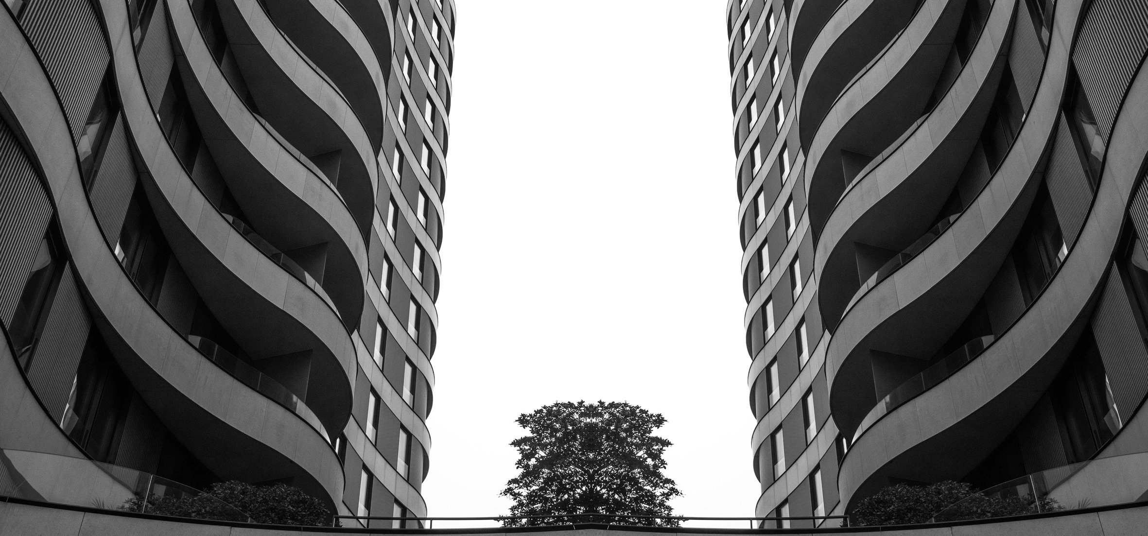 3051treebetweenbuildingspan30MbwW.jpg