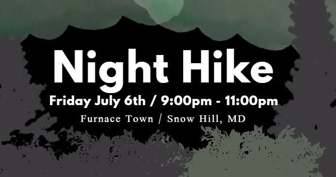 Night Hike