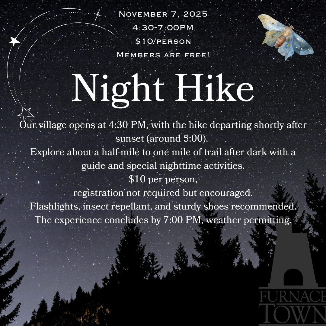 Night Hike