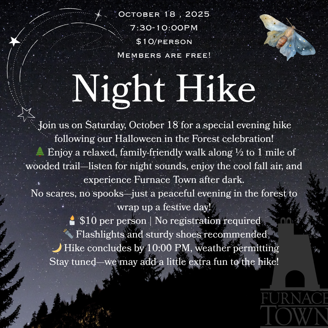 Night Hike