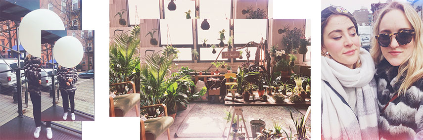 Shenanigans in Manhattan, plant heaven at Brooklyn Flea and love stories on The High Line