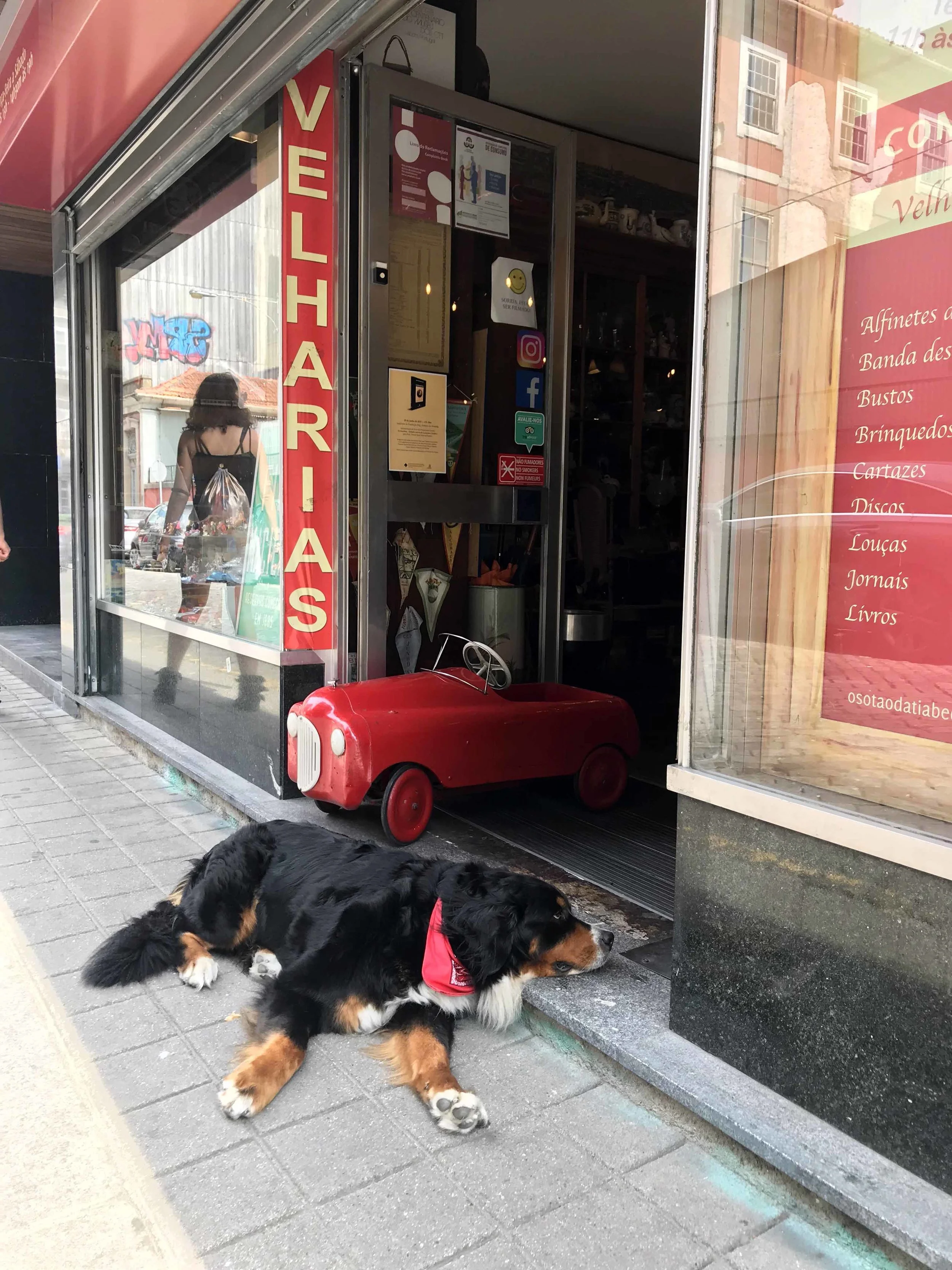 Porto, 2019.