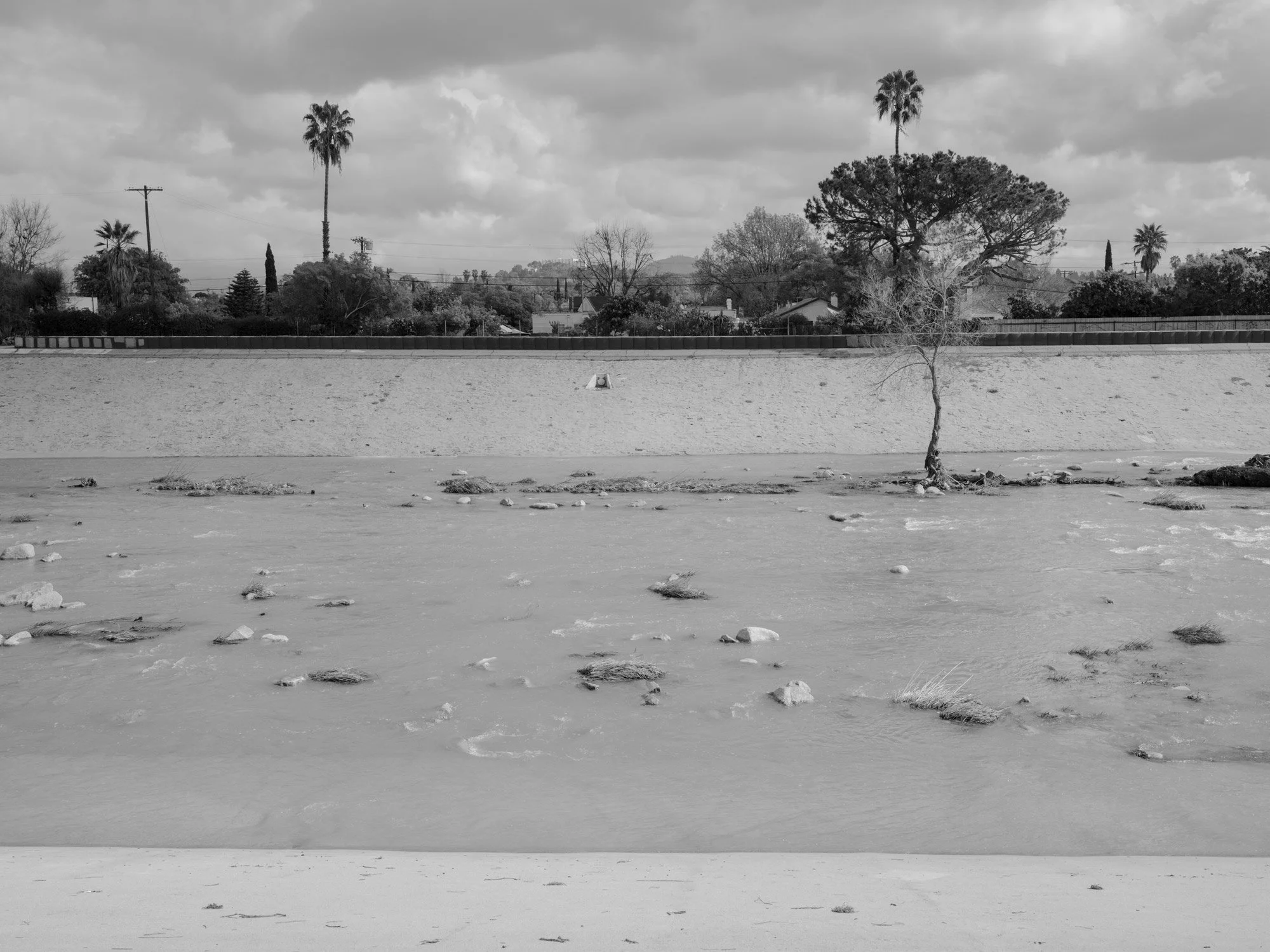 LA_RIVER_2023-005.jpg