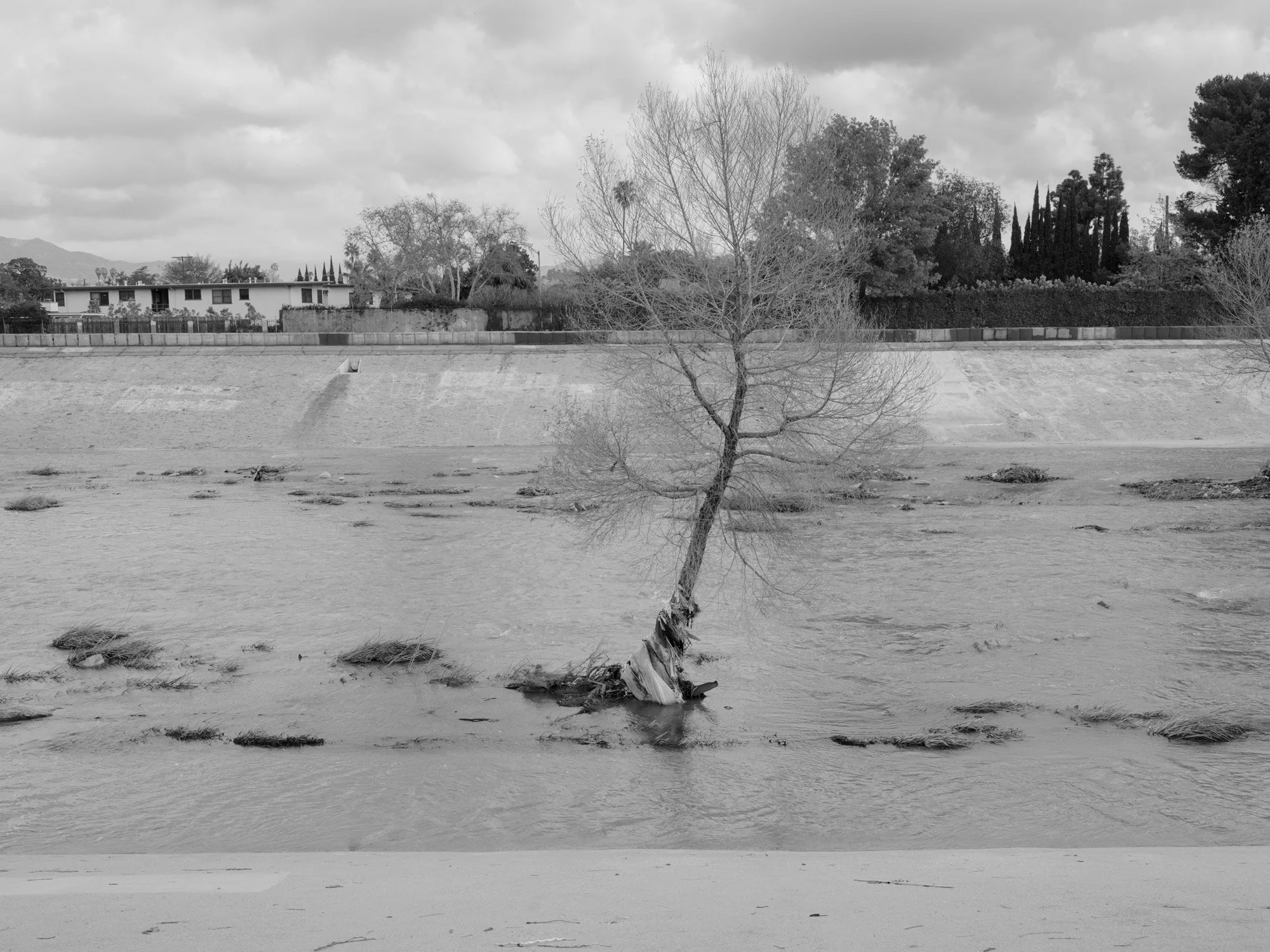 LA_RIVER_2023-007.jpg