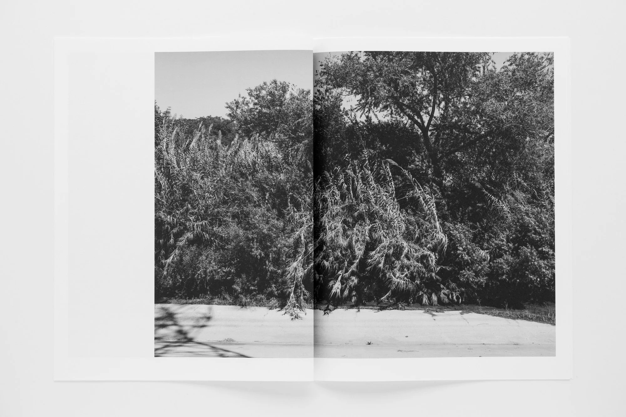 Uncertain_Landscape-9.jpg