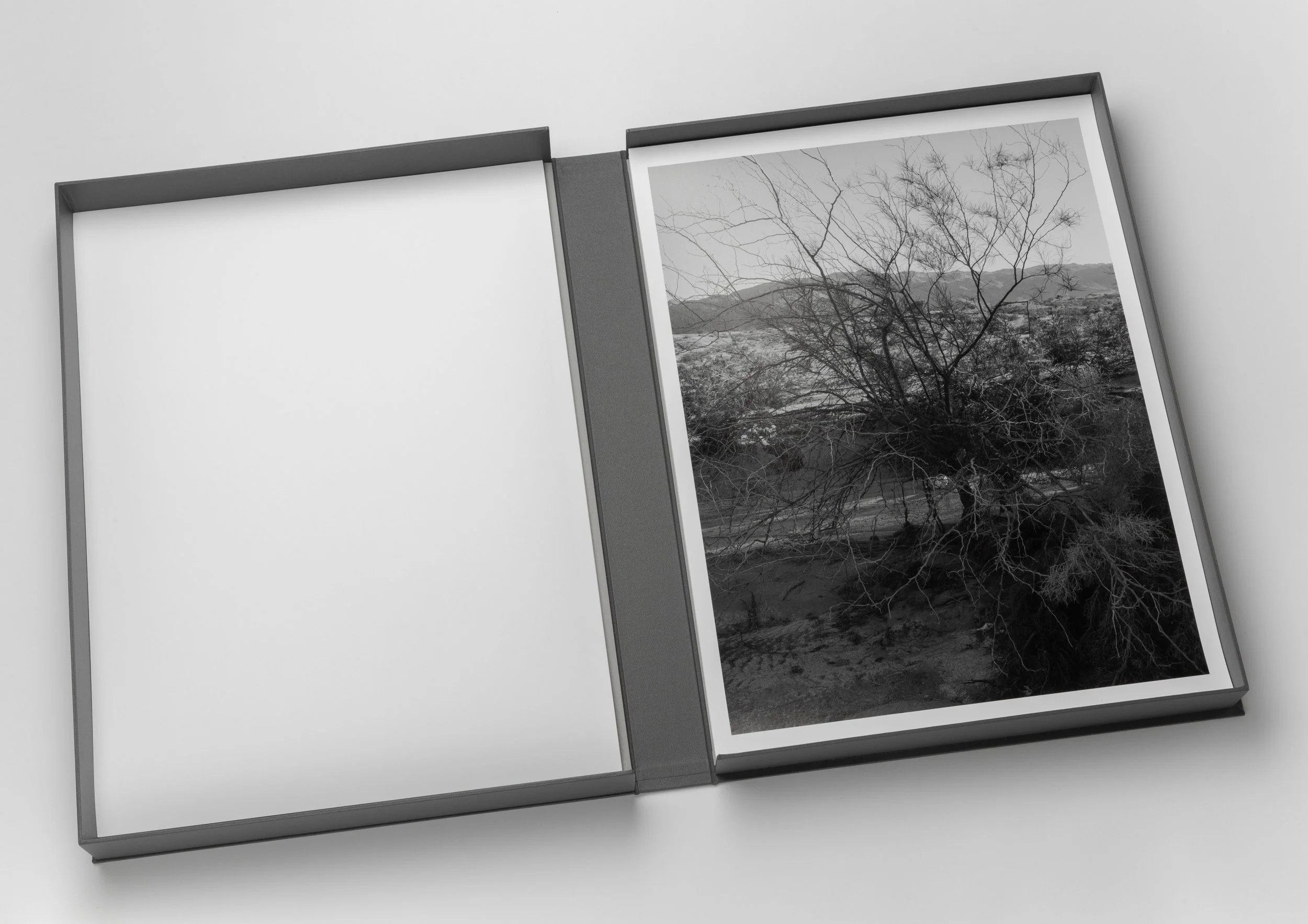 AS_Portfolio-11.jpg