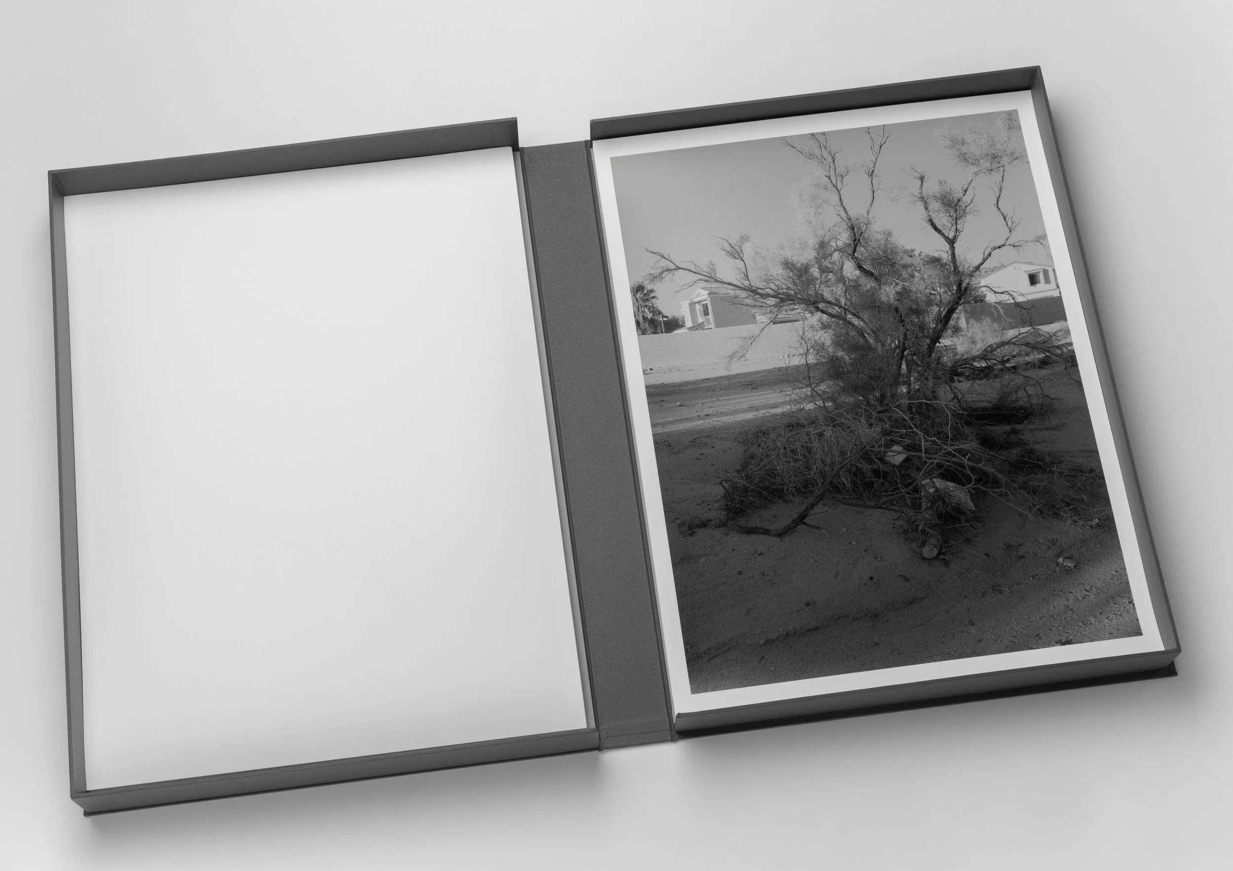 AS_Portfolio-24.jpg