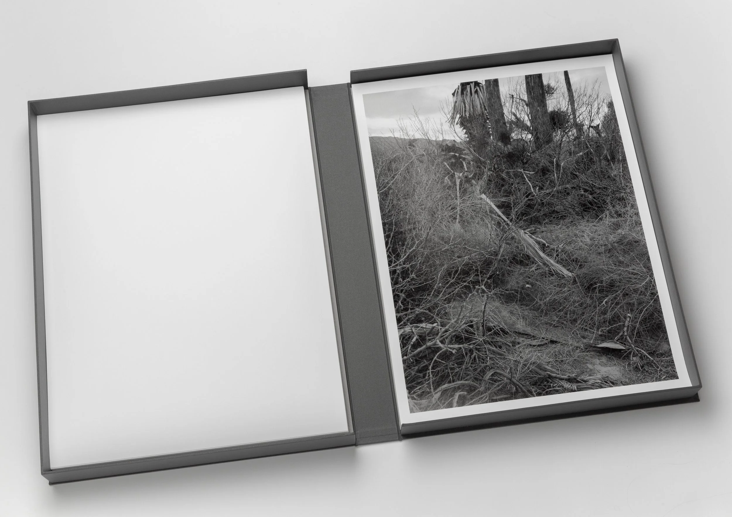 AS_Portfolio-29.jpg
