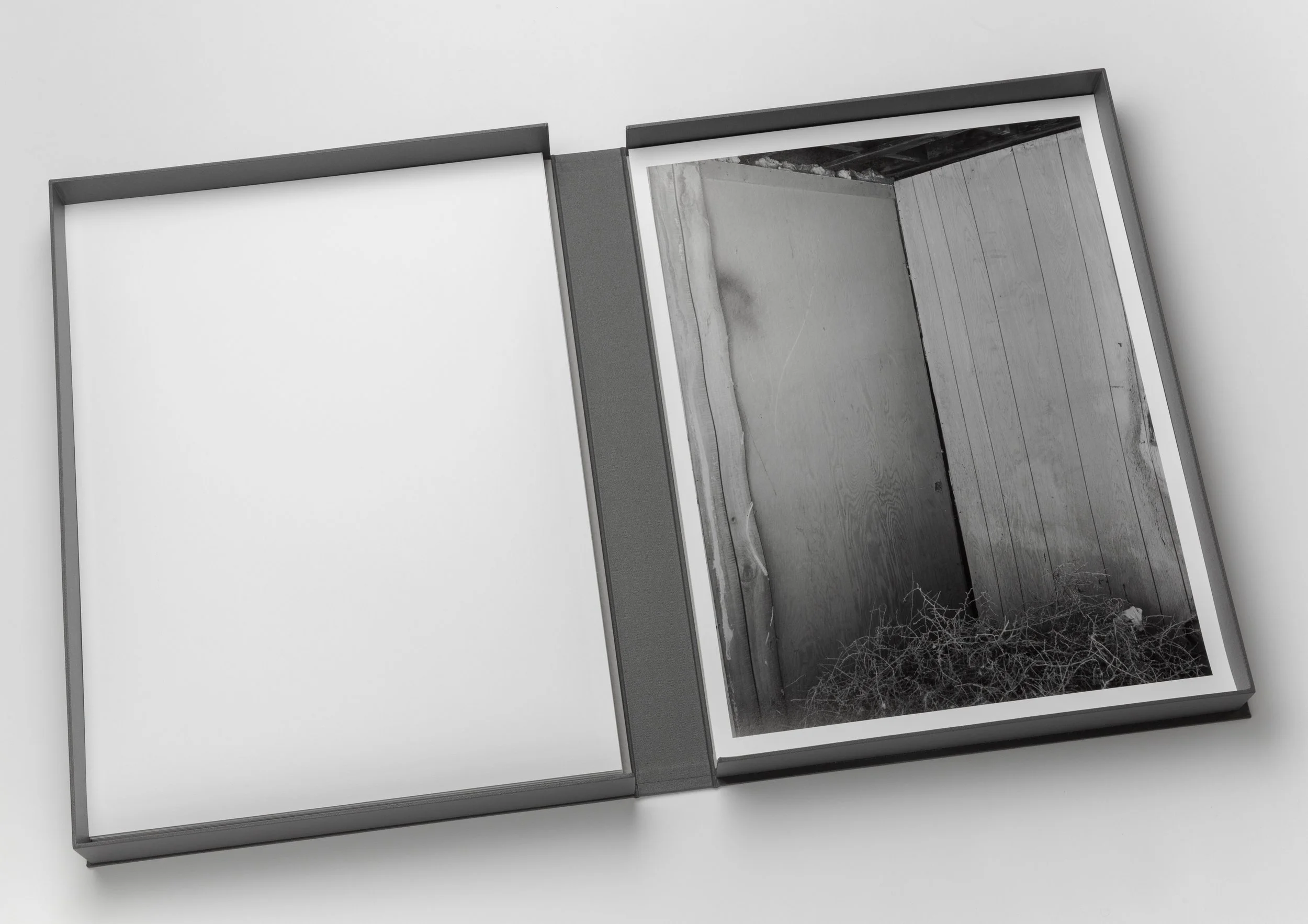 AS_Portfolio-31.jpg